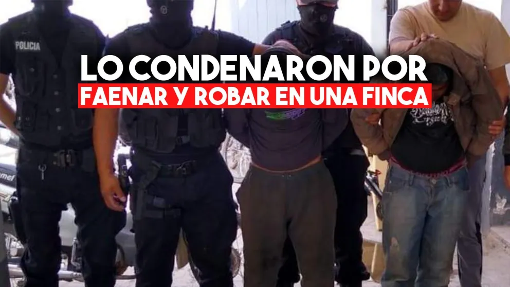 Por primera vez, condenaron a prisión a un ladrón por robar animales de una finca