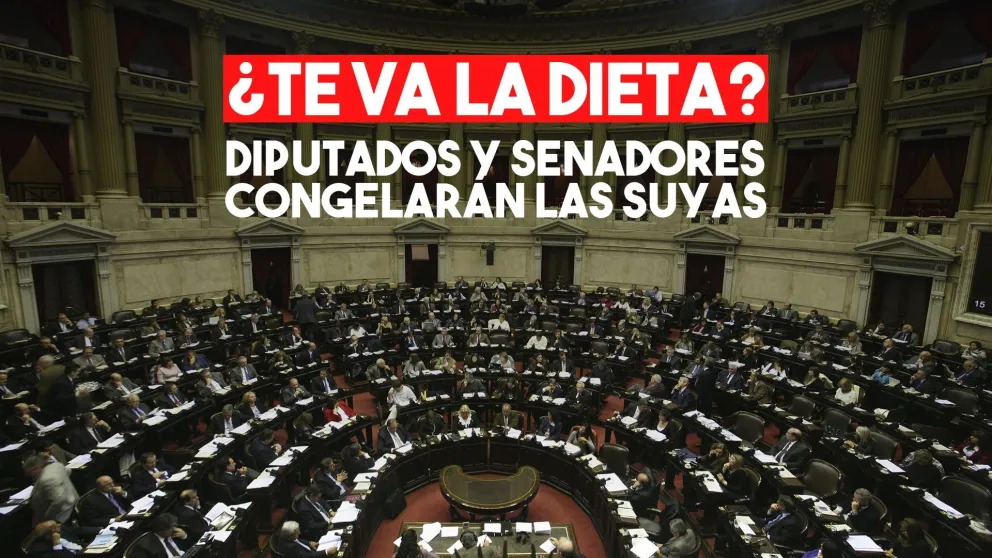 Los diputados y los senadores congelarán sus dietas por seis meses