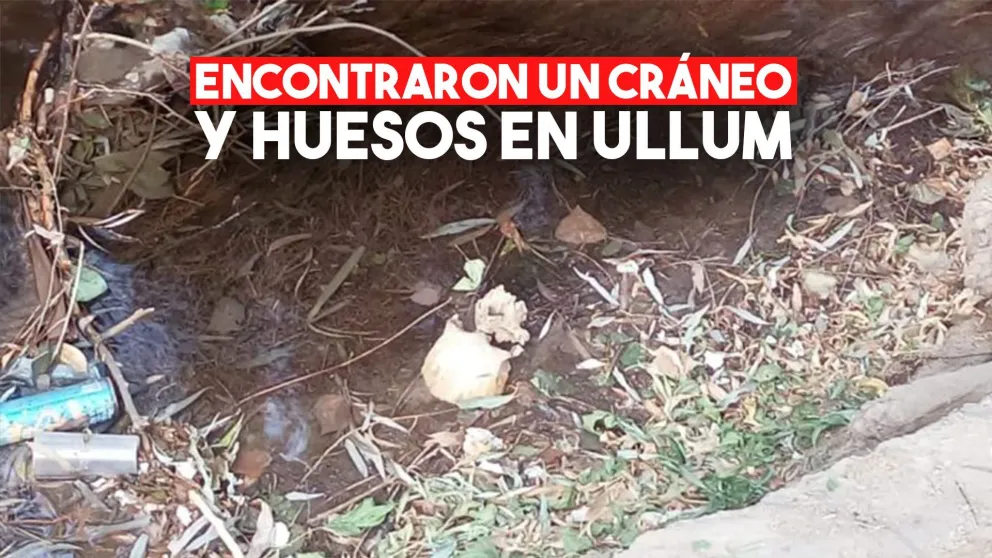 Incertidumbre en Ullum: encontraron un cráneo y huesos tirados