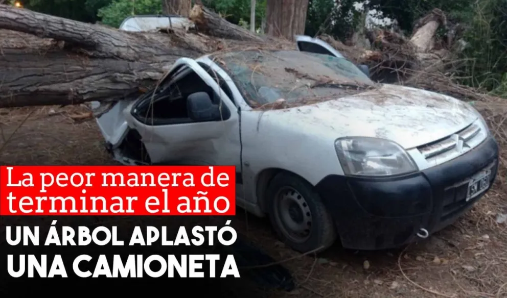 Un árbol cayó sobre un vehículo en el departamento de Ullum y lo dejó destrozado.