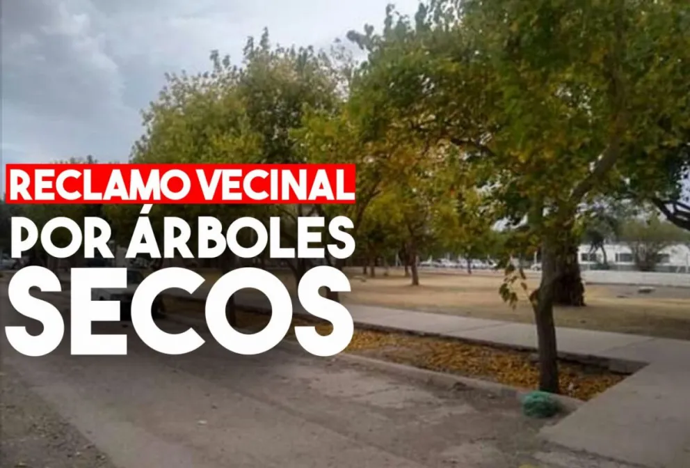 Vecinos de Rivadavia reclaman por árboles secos