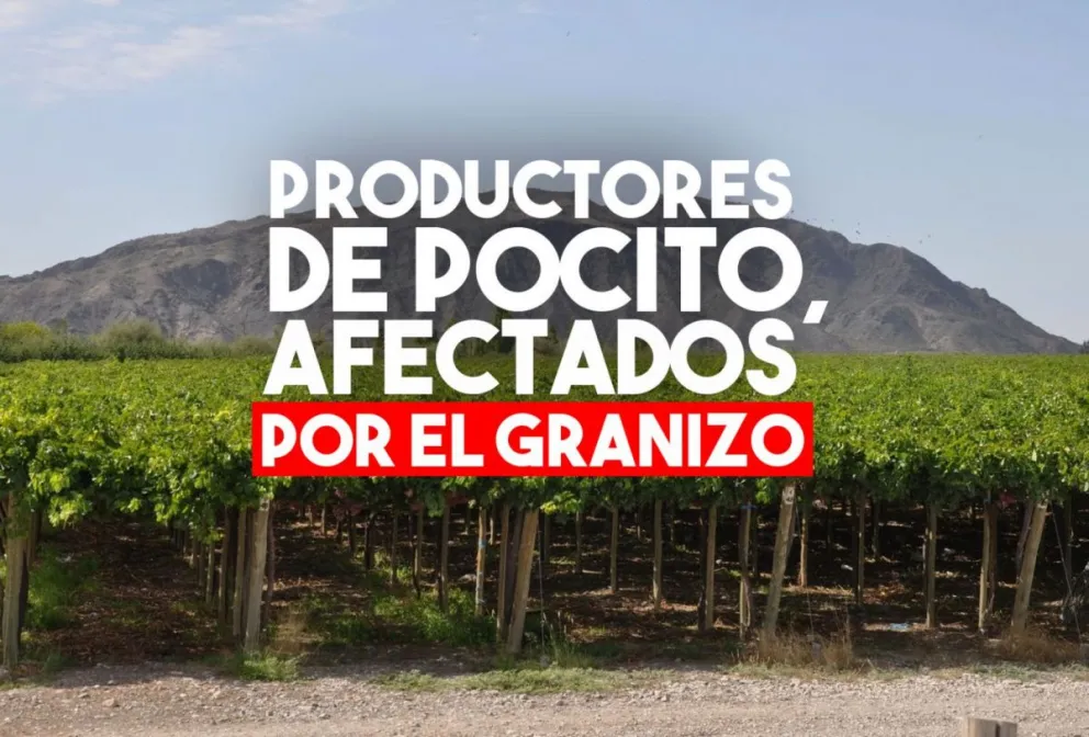 Cinco productores de Pocito fueron afectados por la lluvia y el granizo