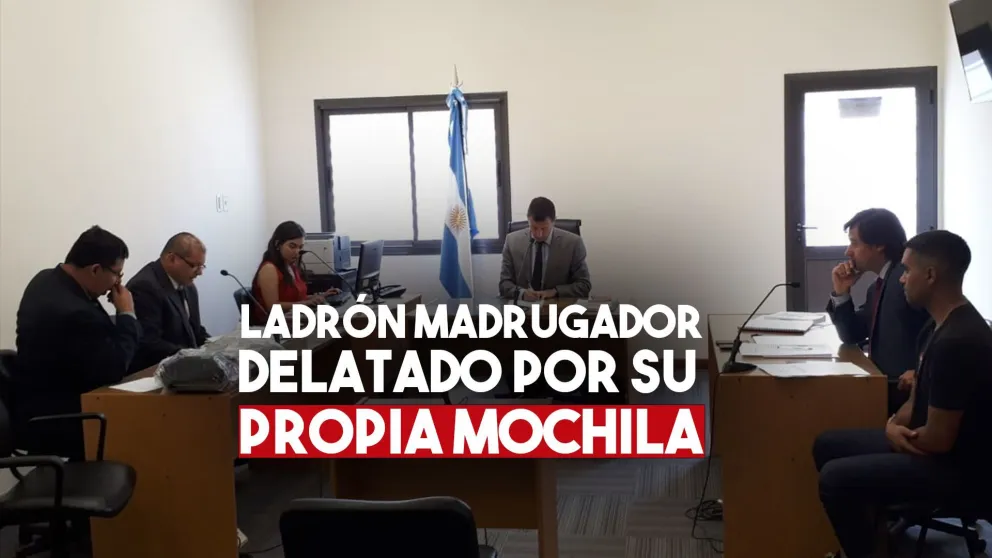 Entró a robar a un local de informática y ahora deberá hacer trabajos comunitarios