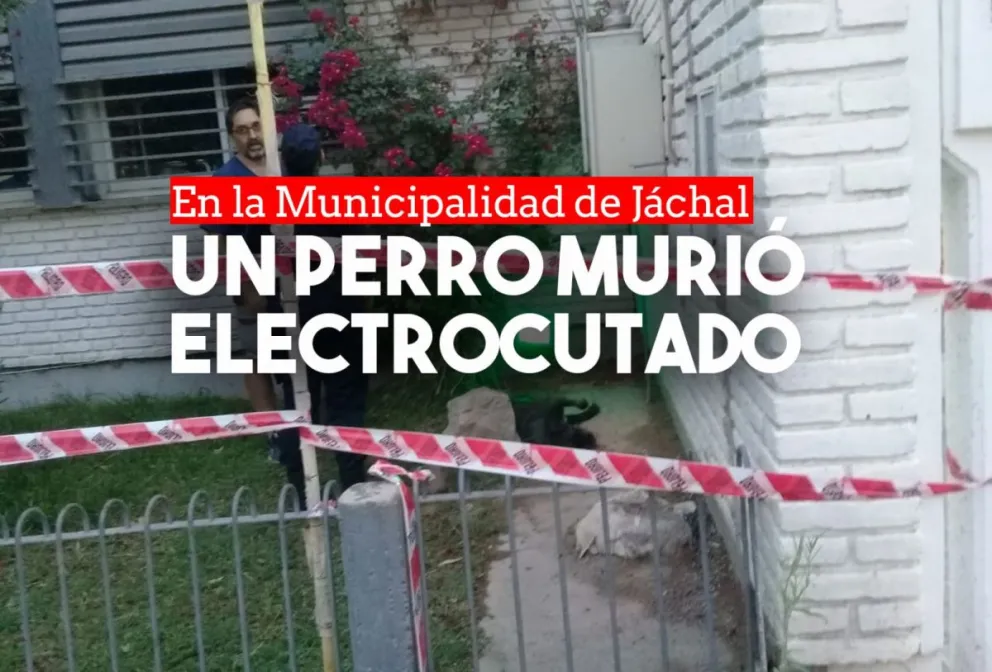 Un perro murió electrocutado en la Municipalidad de Jáchal