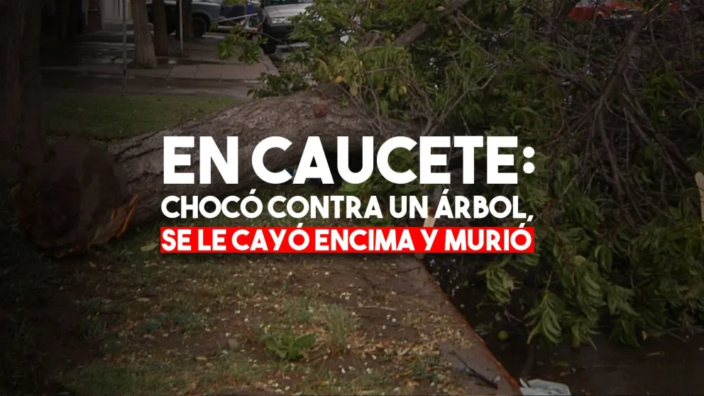 Un hombre chocó contra un árbol, se le cayó encima y murió aplastado