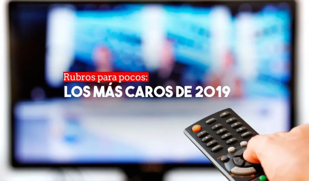 ¿Que rubros fueron los que más aumentos sufrieron en 2019?