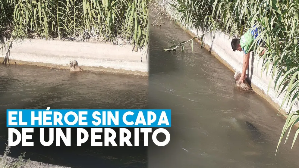 Un joven rescató a un perro de un canal en Santa Lucía