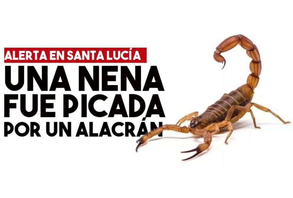 Un alacrán picó a una nena de dos años