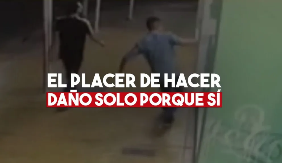 Dañinos: rompieron la vidriera de una farmacia “porque sí”