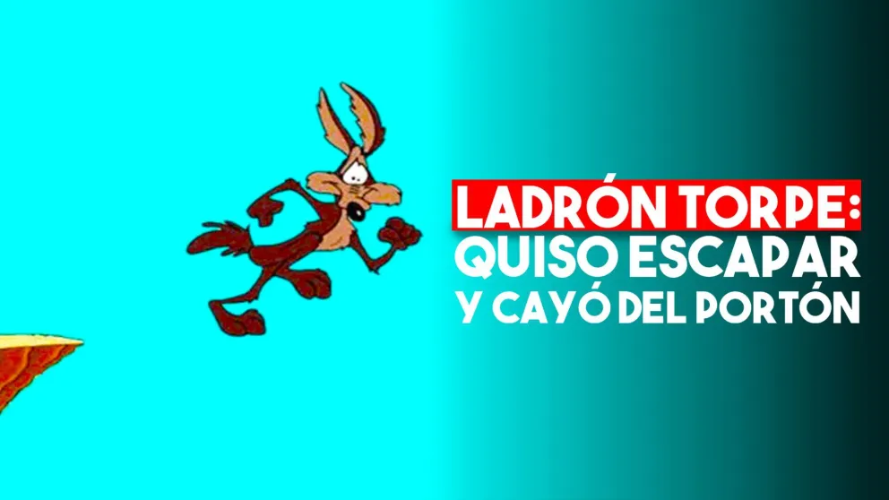 Intentó robar y se cayó del portón cuando quiso escapar