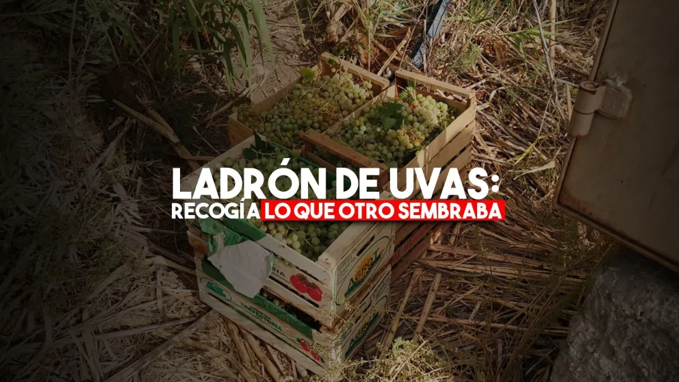 Detuvieron a un ladrón de uvas que delinquía junto a su hijo menor de edad