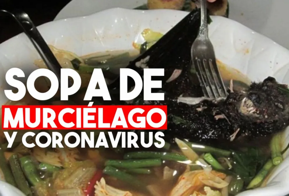 Cómo se prepara la sopa de murciélago a la que relacionan con el brote de coronavirus