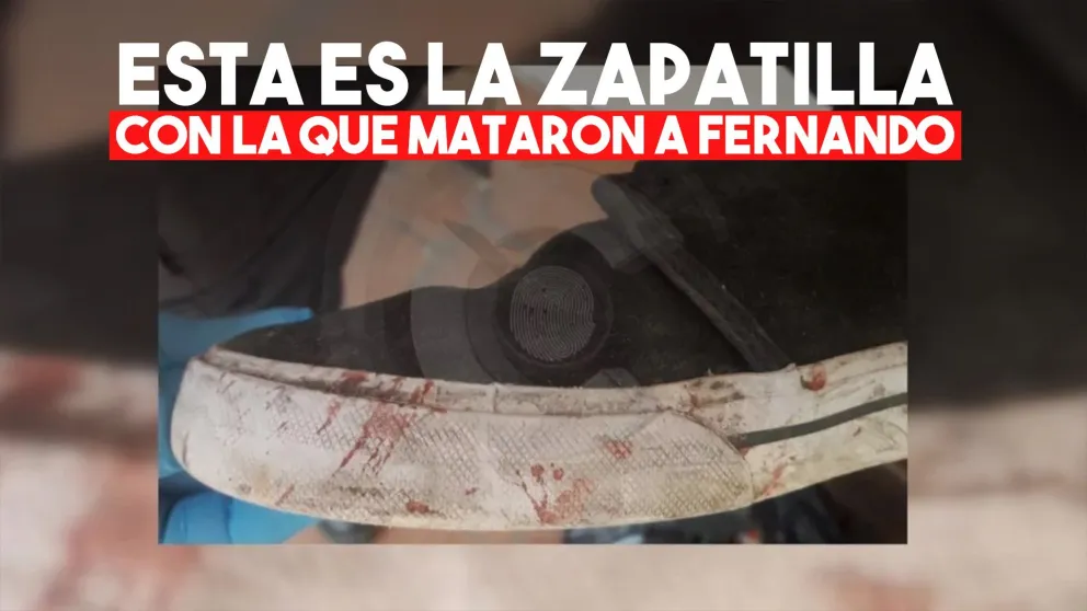 Las fotos de la zapatilla con la que le dieron un golpe mortal en la cabeza a Fernando Báez Sosa