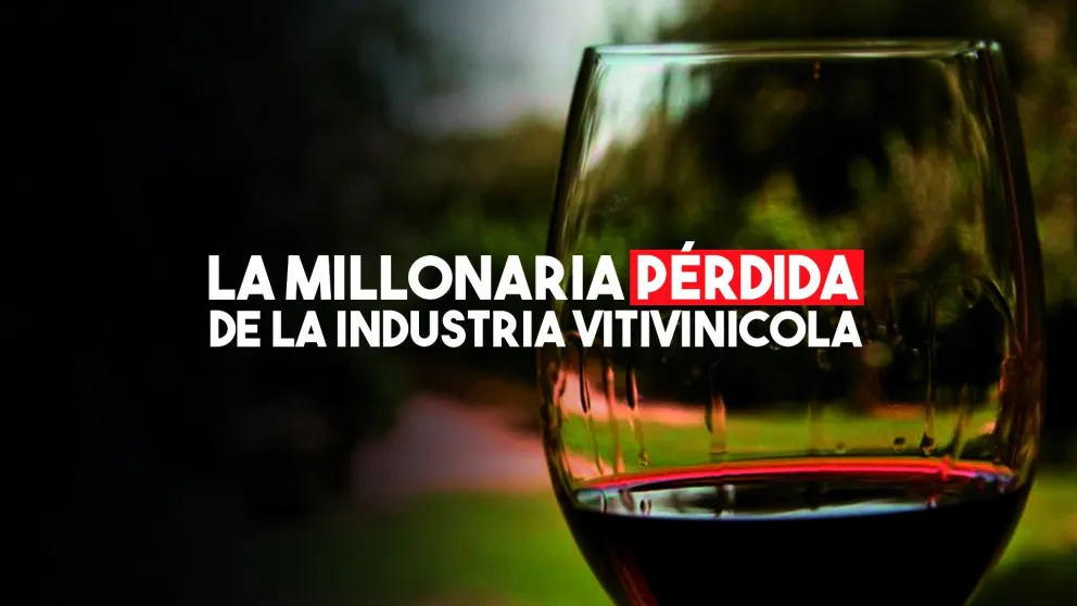 La industria vitivinicola perdió de exportar U$S 3.000 millones en ocho años por temas impositivos