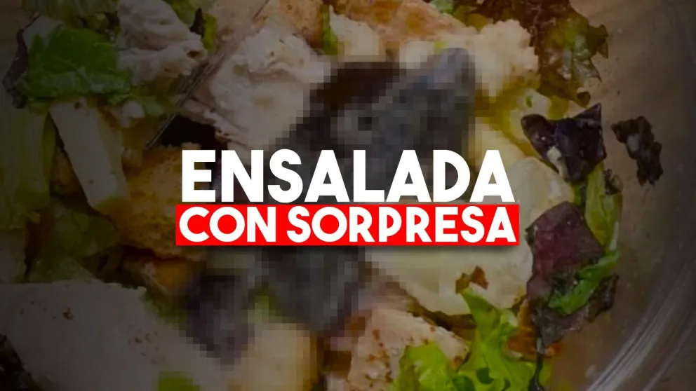 Fue a comer al shopping, pidió una ensalada y tenía una rana dentro
