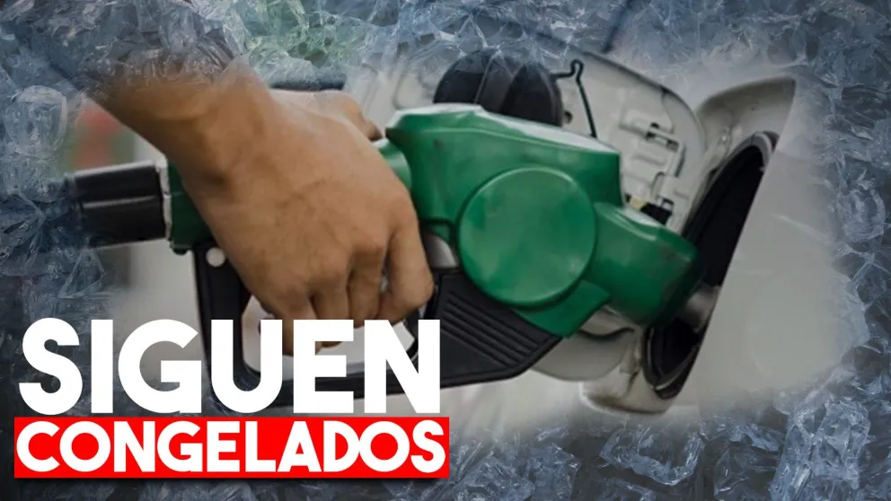 El Gobierno postergó para marzo el aumento del impuesto al combustible