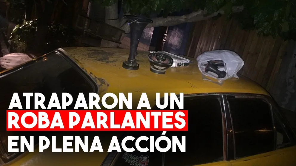 Quiso robar los parlantes de un auto, lo descubrieron y terminó detenido