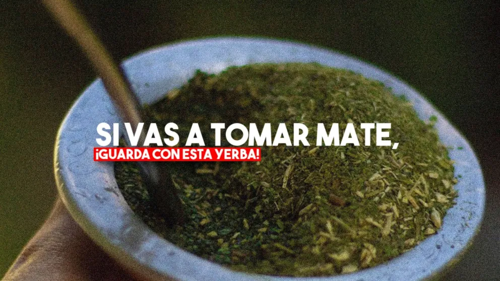 Anmat prohibió la venta de una yerba que produce envenenamiento