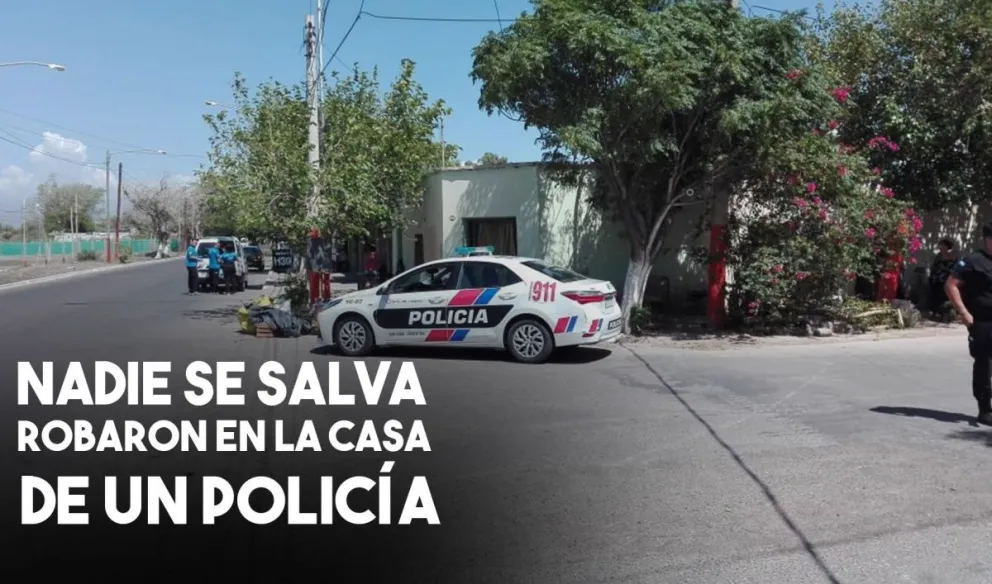 Dos delincuentes robaron en la casa de un policía