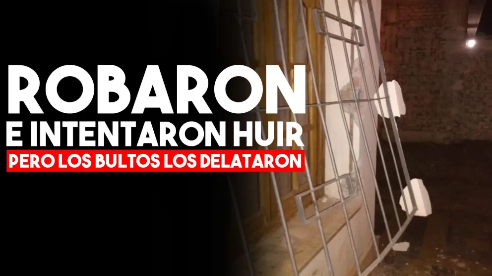 Rompieron una reja y entraron a robar mientras los dueños de casa no estaban