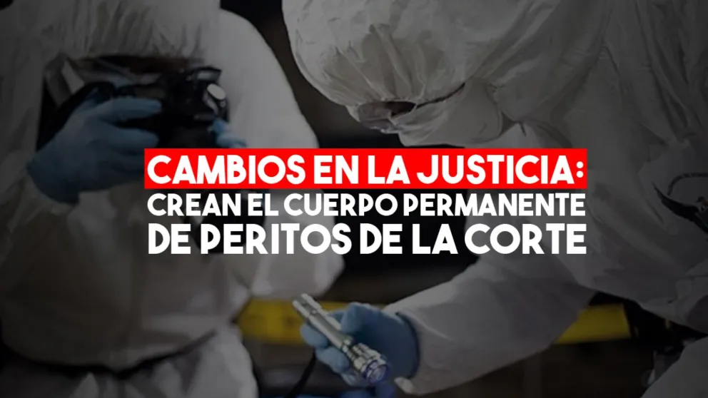 Para acelerar los tiempos, crearon el Cuerpo Permanente de Peritos de la Corte