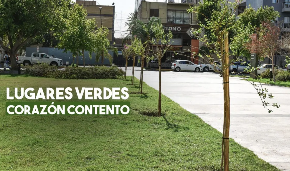 Comienza la reforestación de distintas áreas verdes de la ciudad