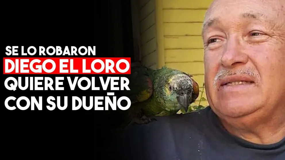 Le robaron su loro y en las redes pide que se lo devuelvan