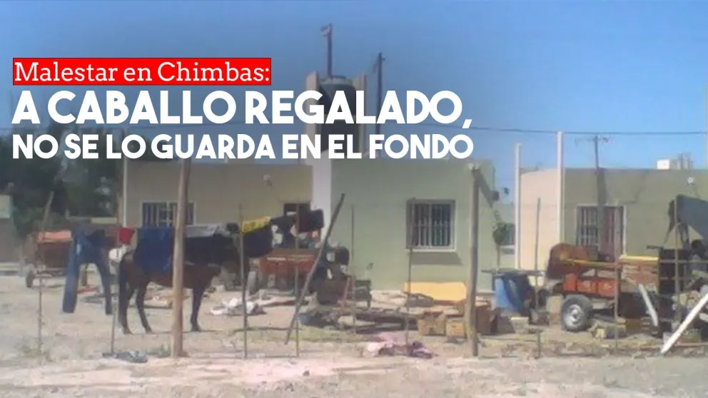Denuncian que vecinos de un barrio del IPV tienen caballos en el fondo