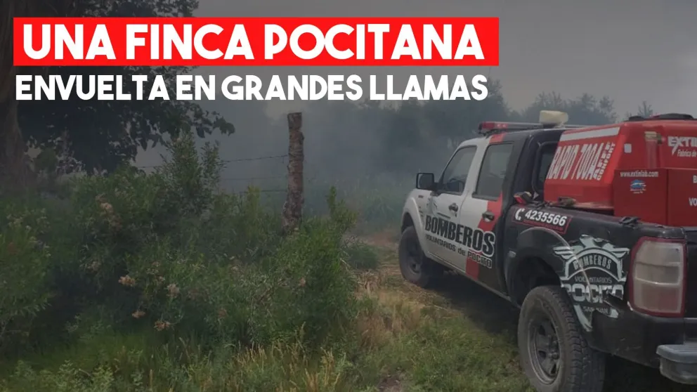 Una finca de olivos de Pocito sufrió un incendio y generó grandes llamas