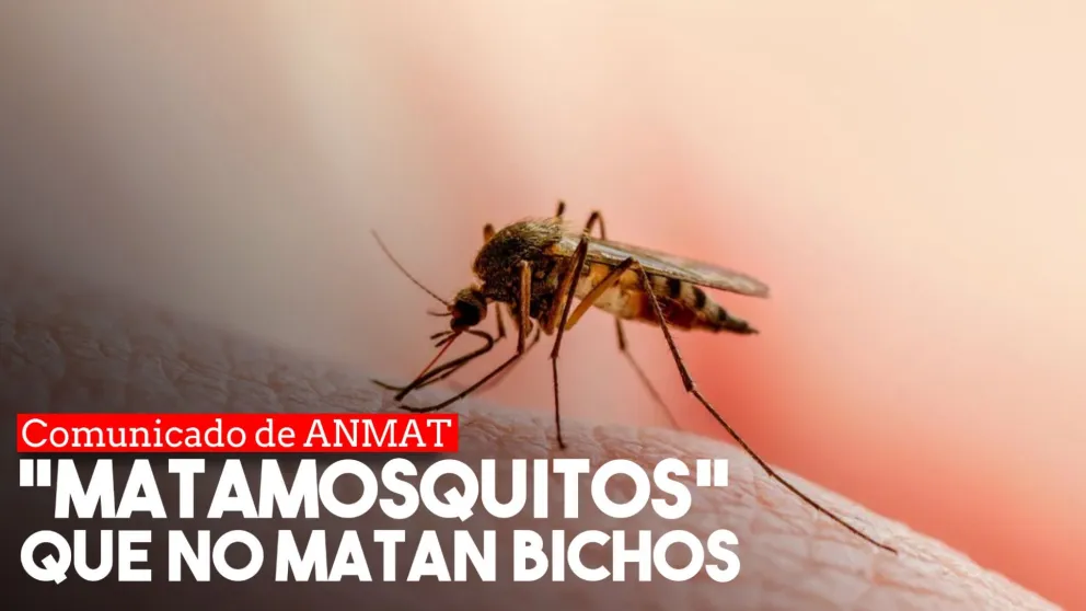 Retiraron dos "matamosquitos" del mercado