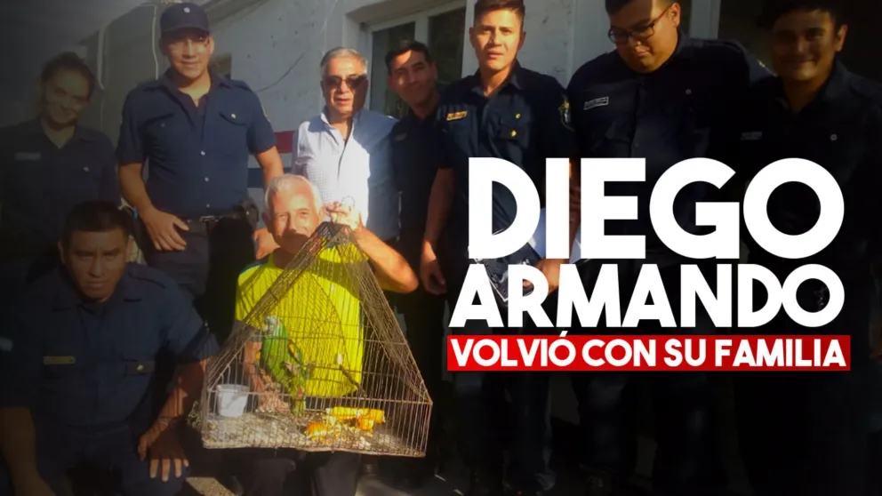 Luego de 10 días encontraron al loro que había sido robado