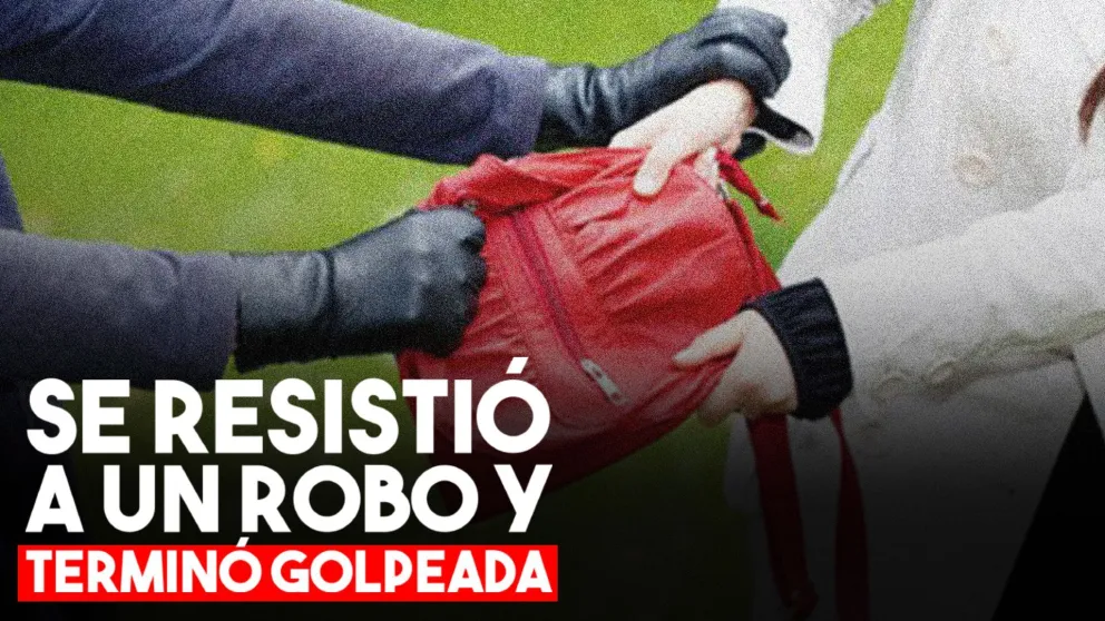 Arrastraron a una mujer y la golpearon para robarle