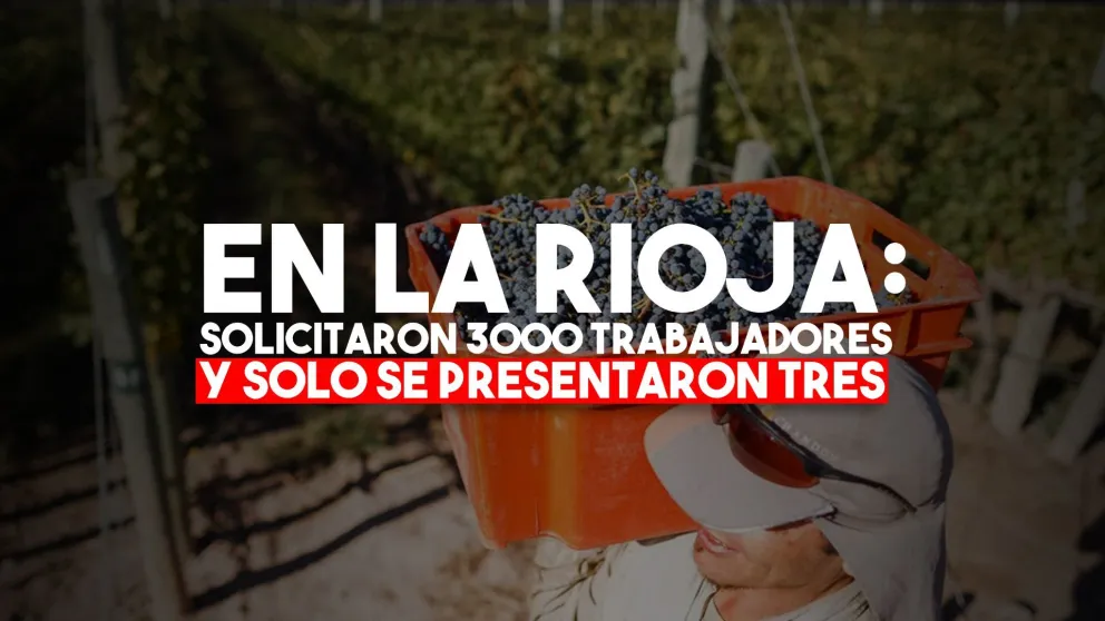 En una finca convocaron a 3000 trabajadores y solo se presentaron tres
