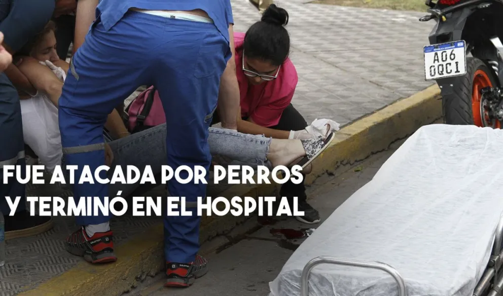 Una mujer fue atacada por perros, la mordieron y terminó en el hospital