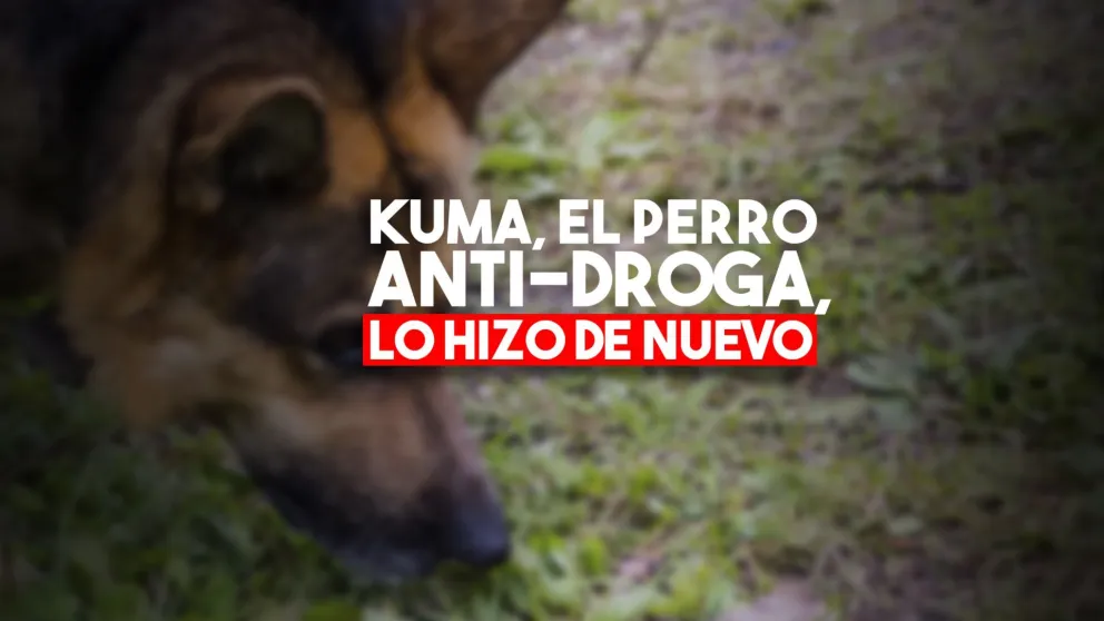 La Policía Federal reventó un kiosco de droga en Desamparados