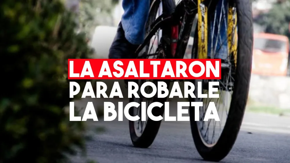 Una mujer policía fue atacada y golpeada en un robo