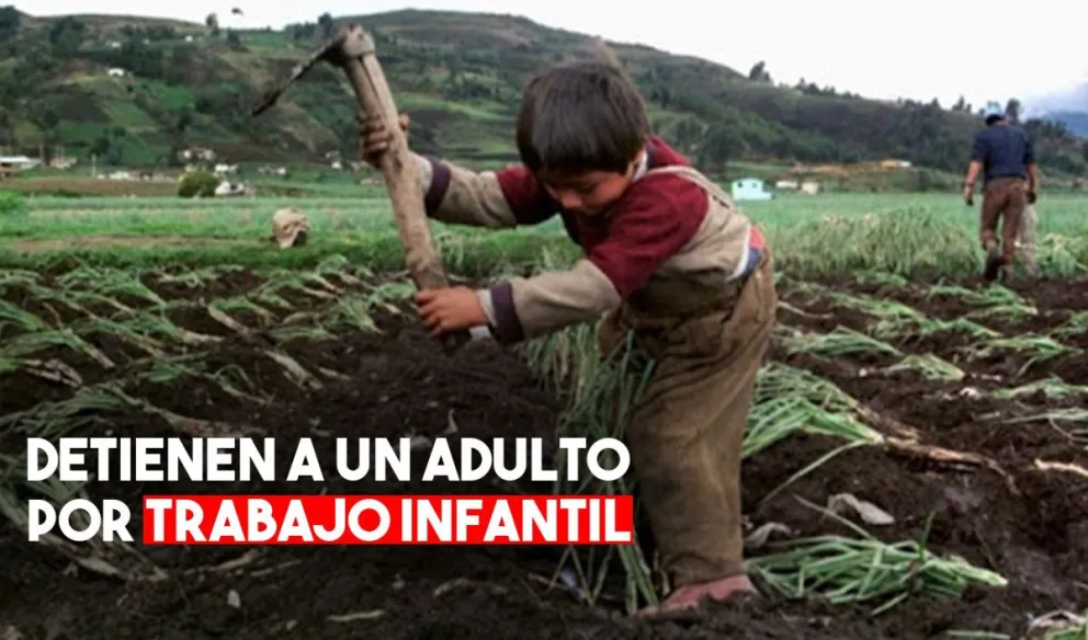 Una adulto quedó detenido por hacer trabajar a un menor de 15 años
