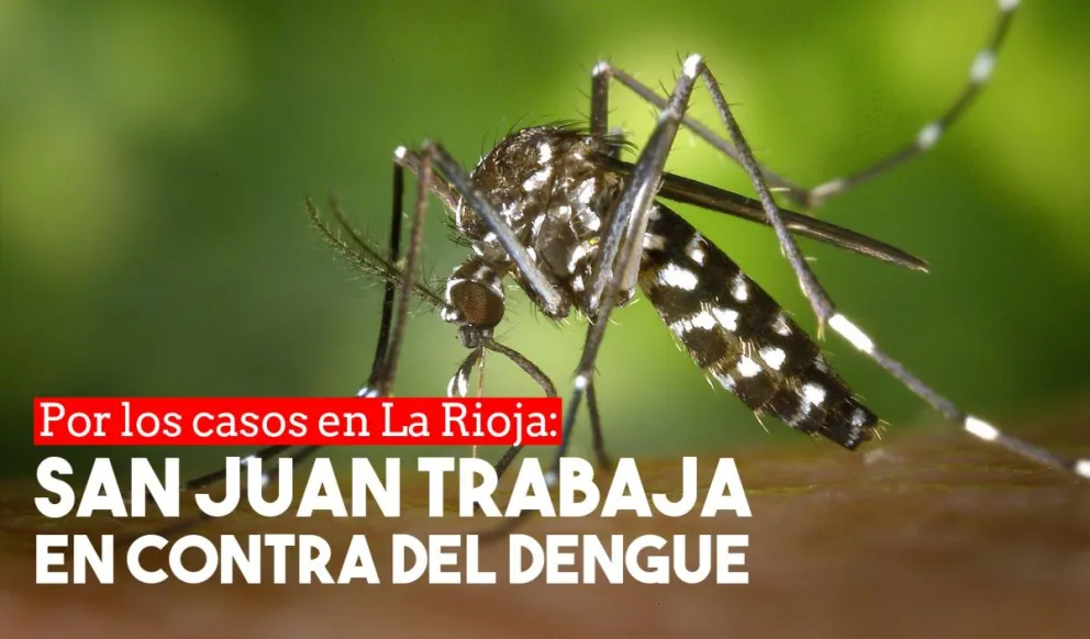 Los casos de dengue en La Rioja alertaron a los sanjuaninos