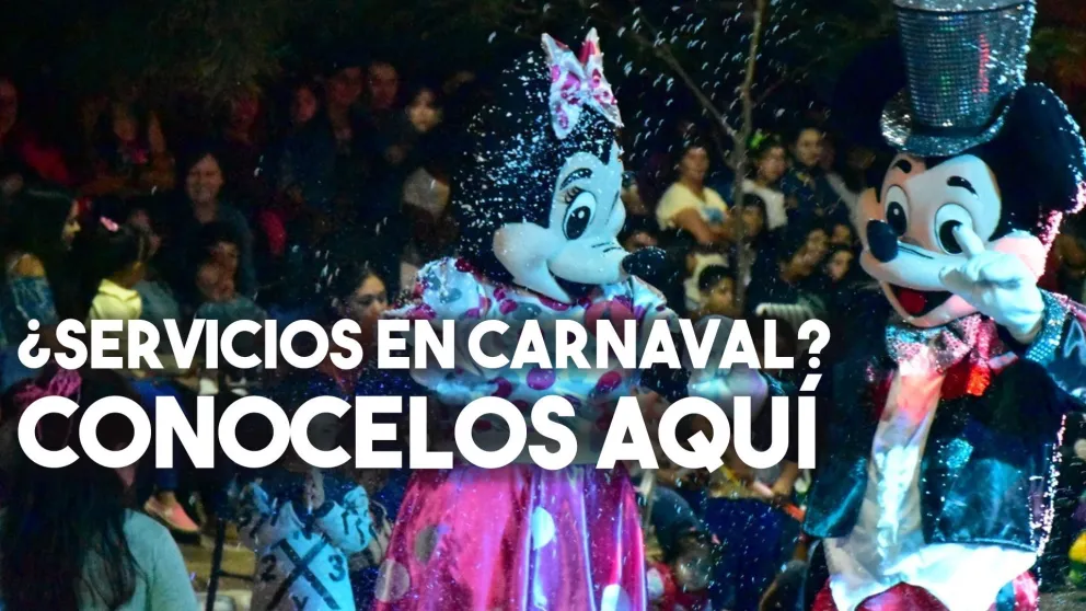 Feriado de carnaval: conocé cómo funcionarán servicios y el comercio