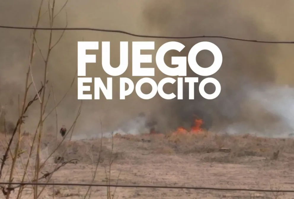Importante incendio de pasturas en Pocito