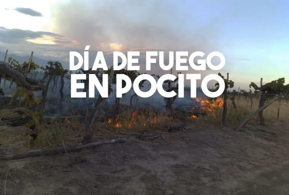 Otro incendio consumió parrales en Pocito