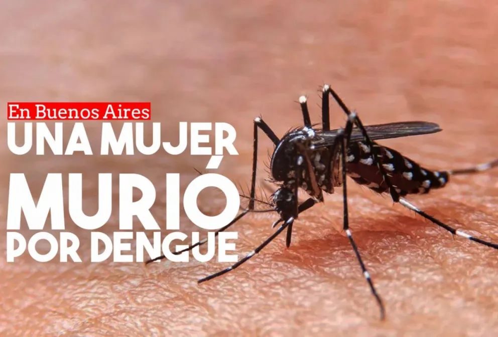 Una mujer murió por dengue en la provincia de Buenos Aires