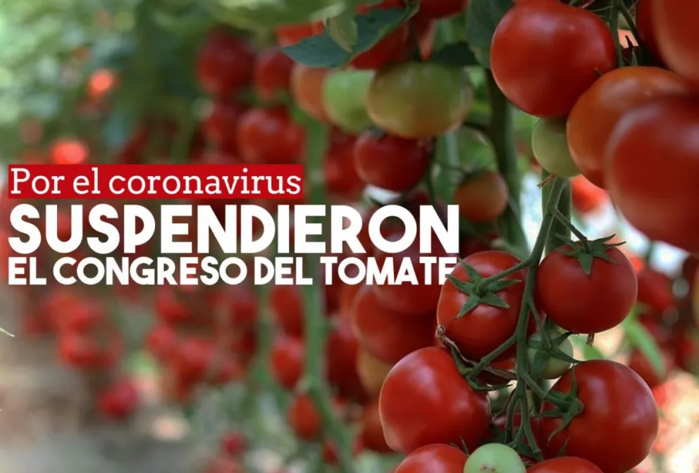 Por el coronavirus, suspendieron el Congreso del Tomate que iba a realizarse en San Juan