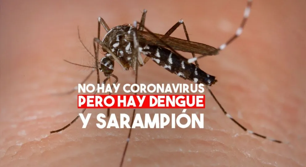 Confirmaron 680 casos de dengue y 156 de sarampión en todo el país