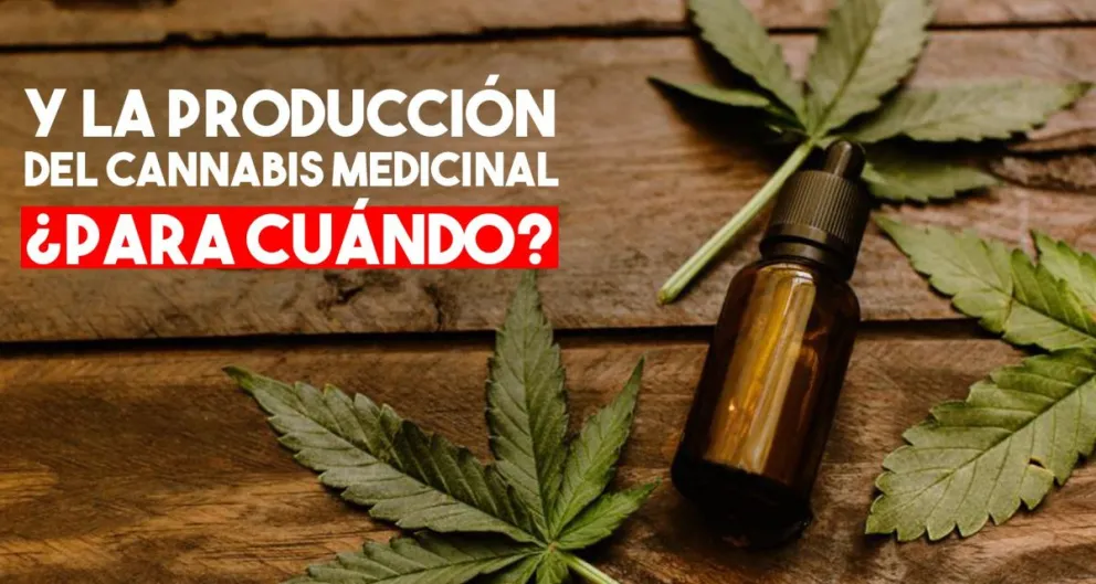 ¿Cuando arranca la producción de cannabis medicinal en San Juan?