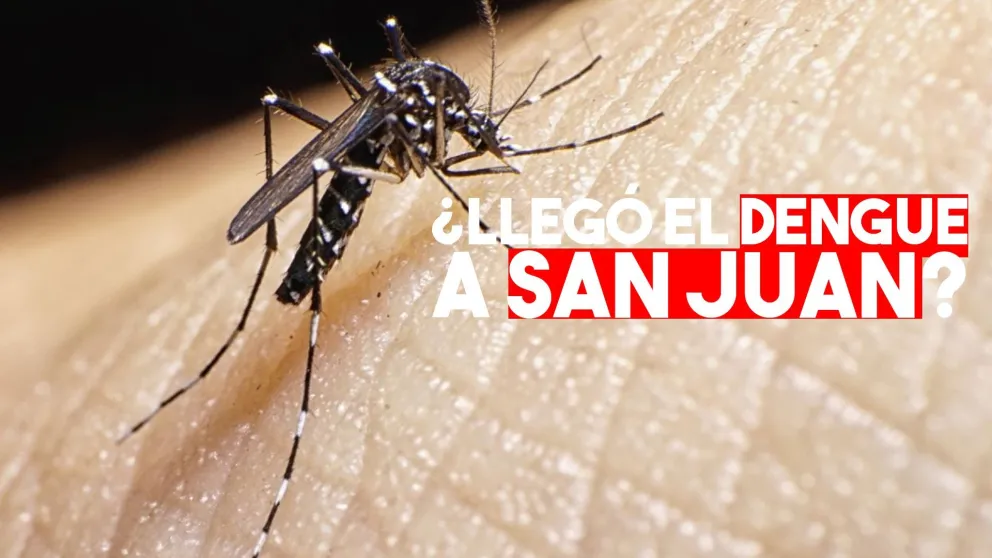 Hay dos casos sospechosos de dengue en San Juan