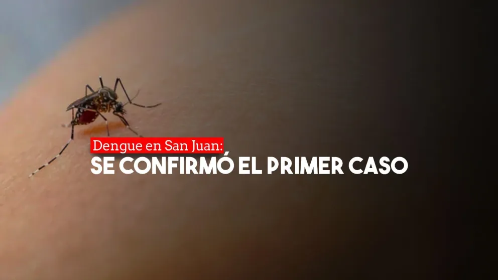 Dengue en San Juan: el paciente positivo ya fue dado de alta