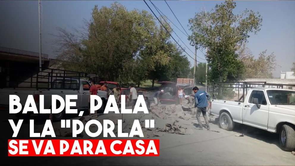 Mordió el cordón y se le cayeron 120 bolsas de cemento: la gente se las llevó
