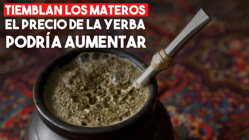 Advierten una próxima suba en el precio de la yerba mate
