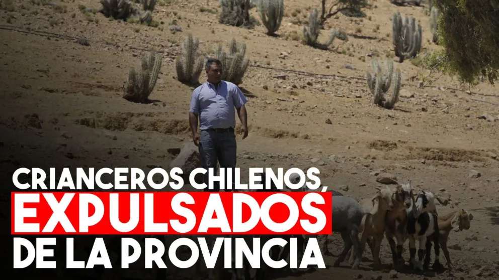 Expulsaron a criadores chilenos de la cordillera en Calingasta